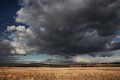 hrd cloud